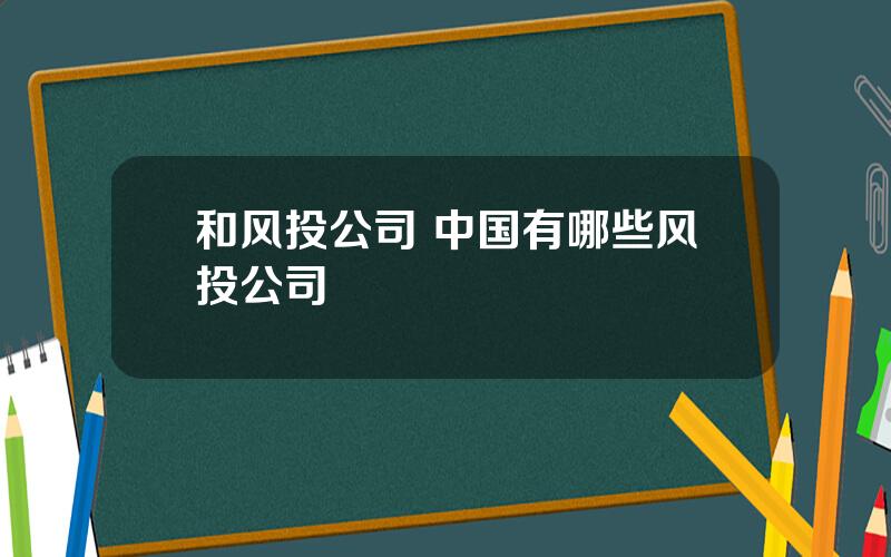 和风投公司 中国有哪些风投公司